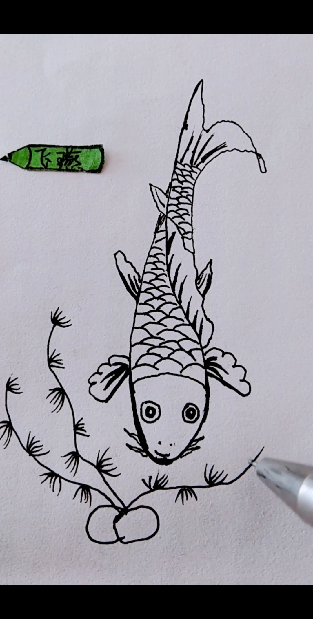 #我要上热门#数字6画鱼