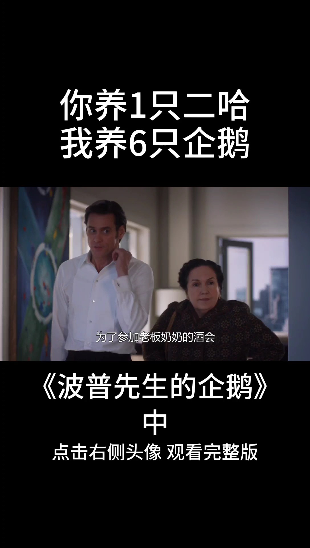 我想用六只企鹅跟你换一只拆家的二哈