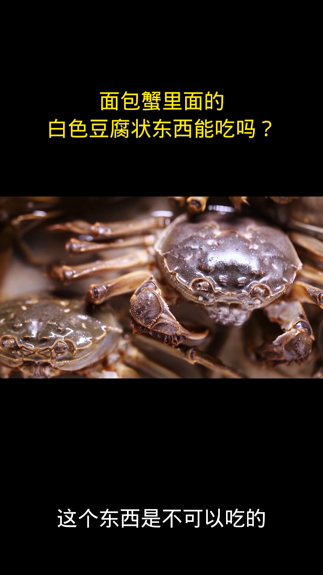 面包蟹里面的白色豆腐状东西能吃吗?