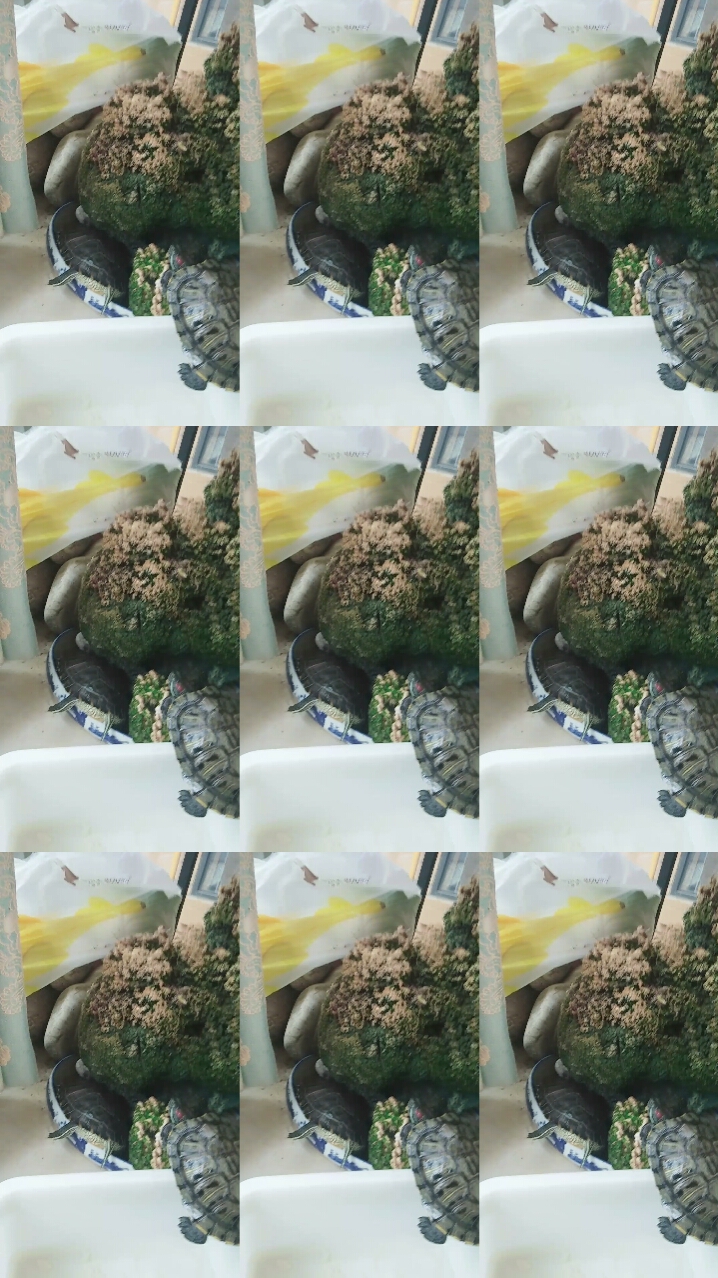 分享视频