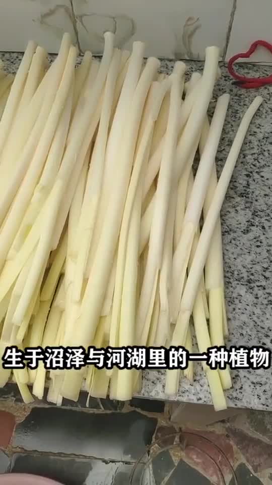 蒲菜,为何有“水中嫩笋”之称