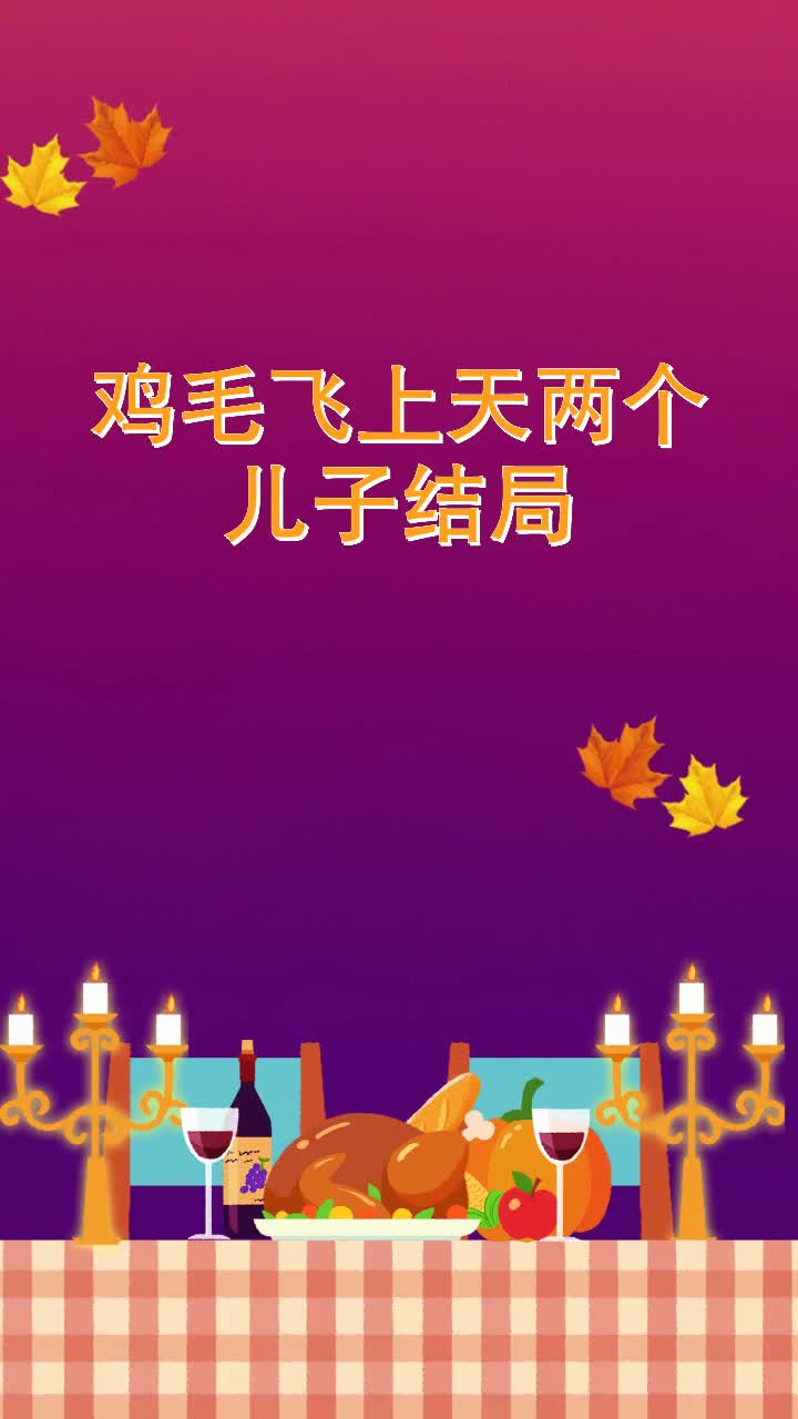 鸡毛飞上天两个儿子结局