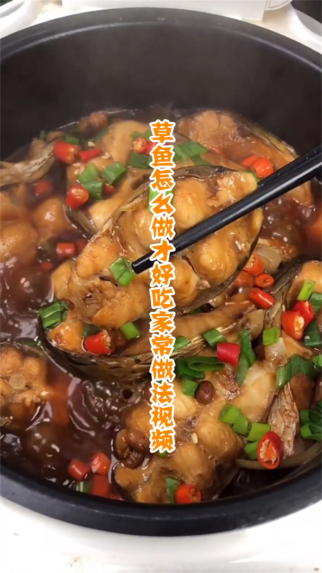 草鱼怎么做才好吃家常做法视频