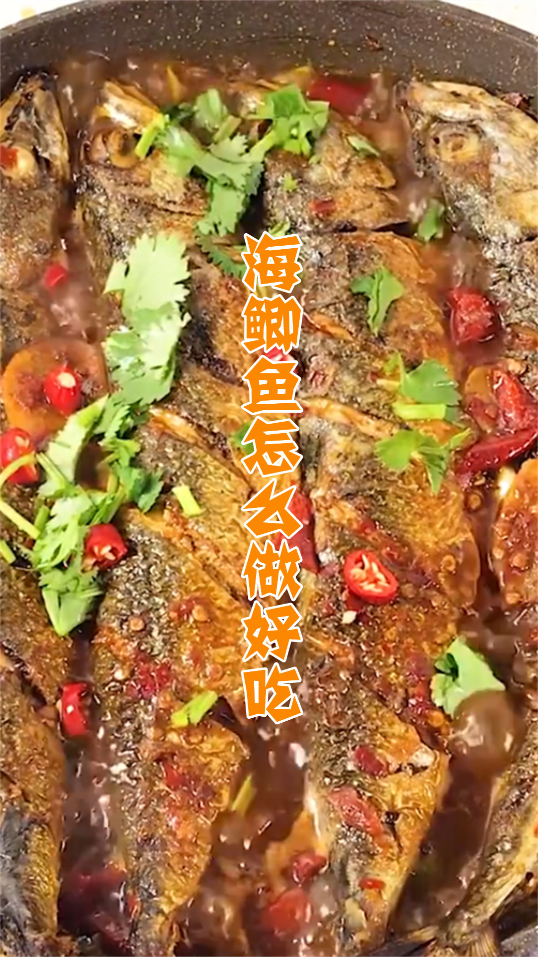 海鲫鱼怎么做好吃