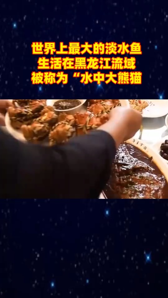 世界上最大的淡水鱼