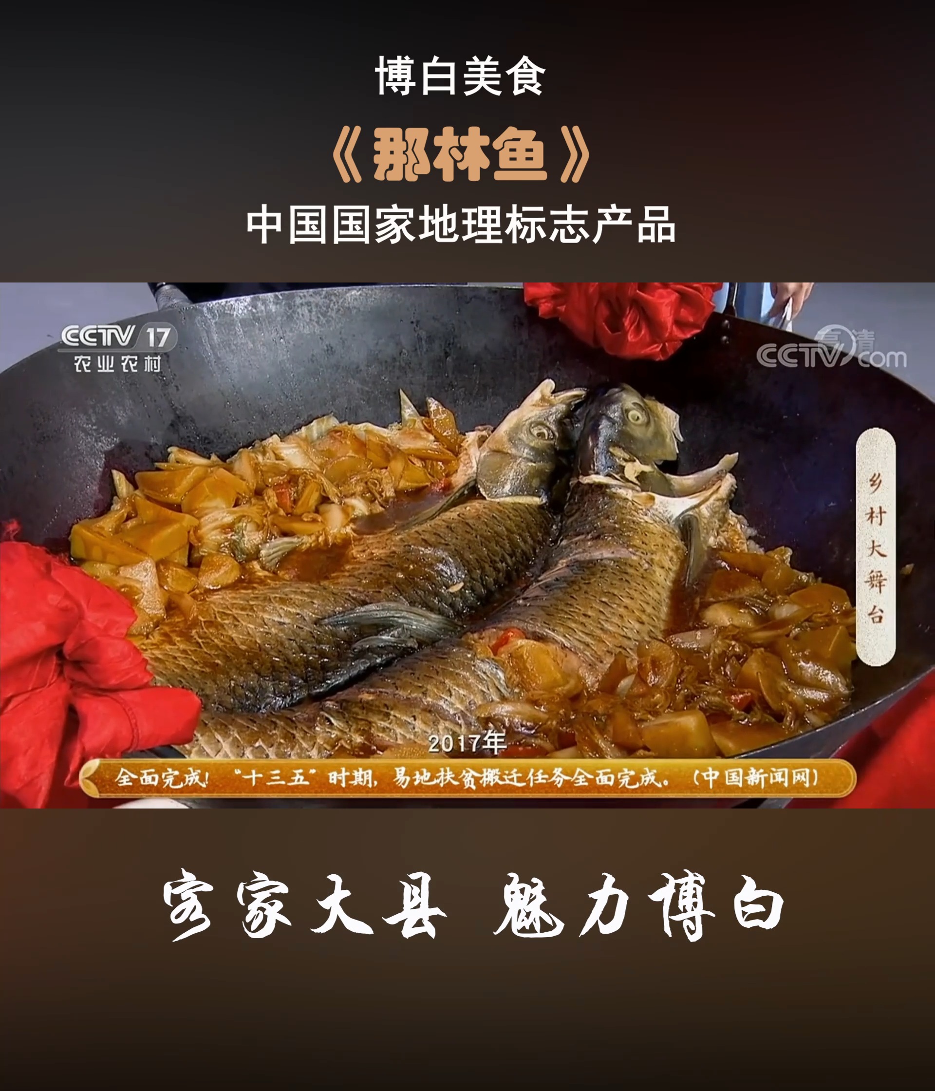央视主持人:到了博白不吃那林鱼,你算白来