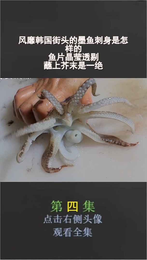 风靡韩国街头的墨鱼刺身是怎样的?鱼片晶莹透剔,蘸上芥末是一绝(4)