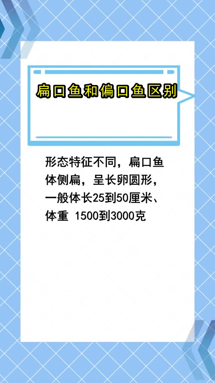 扁口鱼和偏口鱼区别