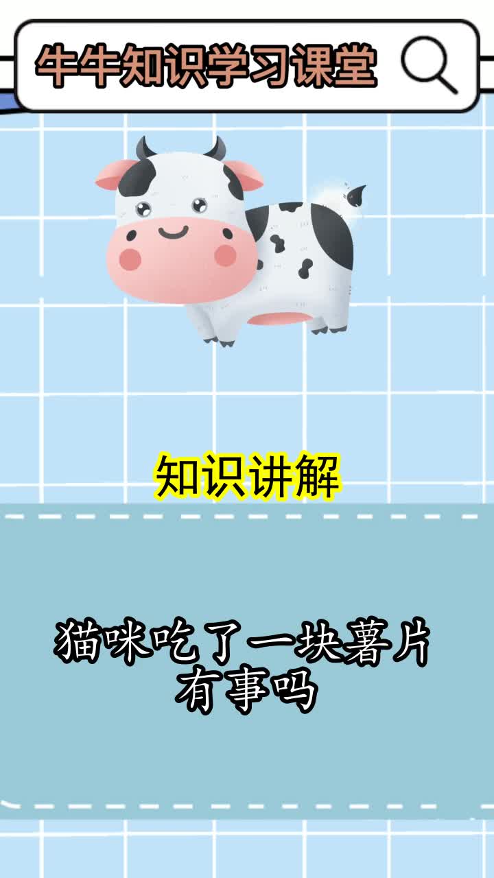 猫咪吃了一块薯片有事吗,你记住了吗