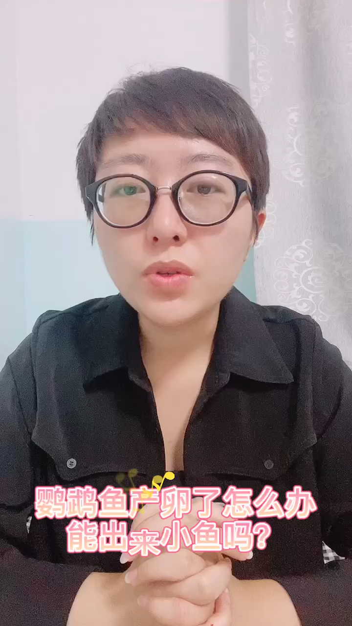 鹦鹉鱼产卵了怎么办能出来小鱼吗?