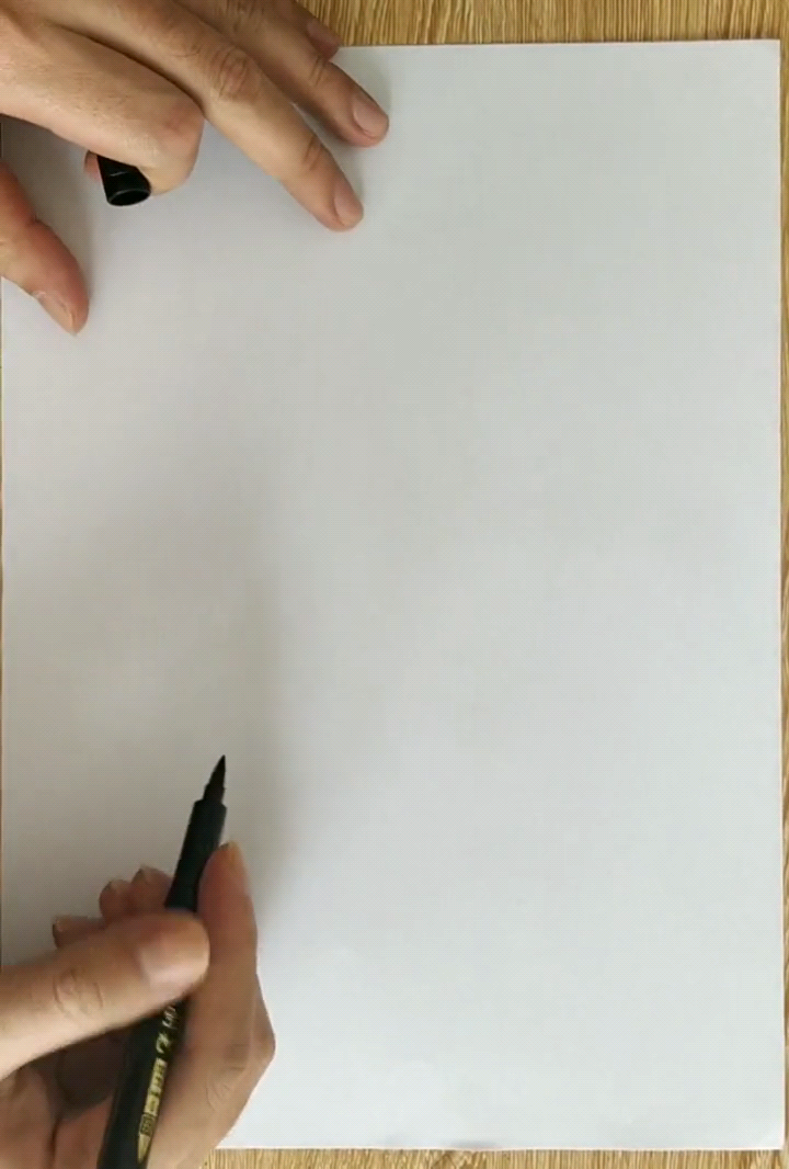 鲨鱼应该怎么画?
