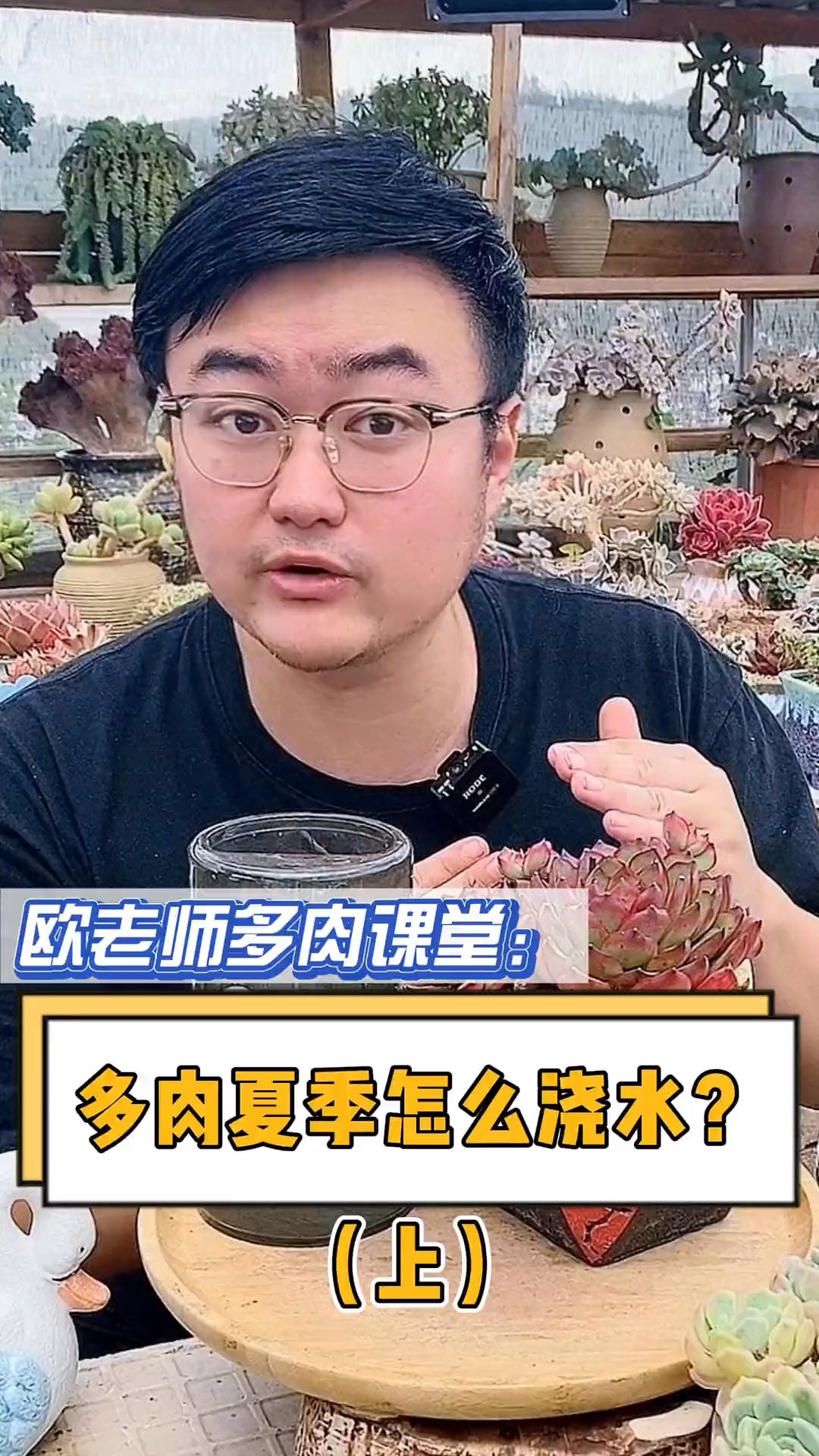#有一种可爱叫多肉!#多肉植物夏天要怎么浇水?服盆期浇水有什么技巧,这个视频交会你。