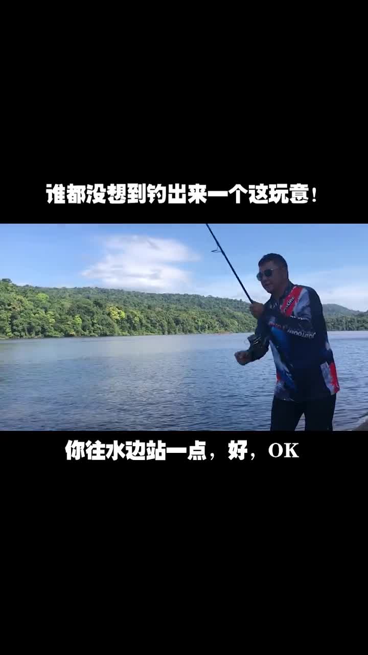 在森林里以为是条鳐鱼,没想到居然是这玩意!真名叫魟鱼!