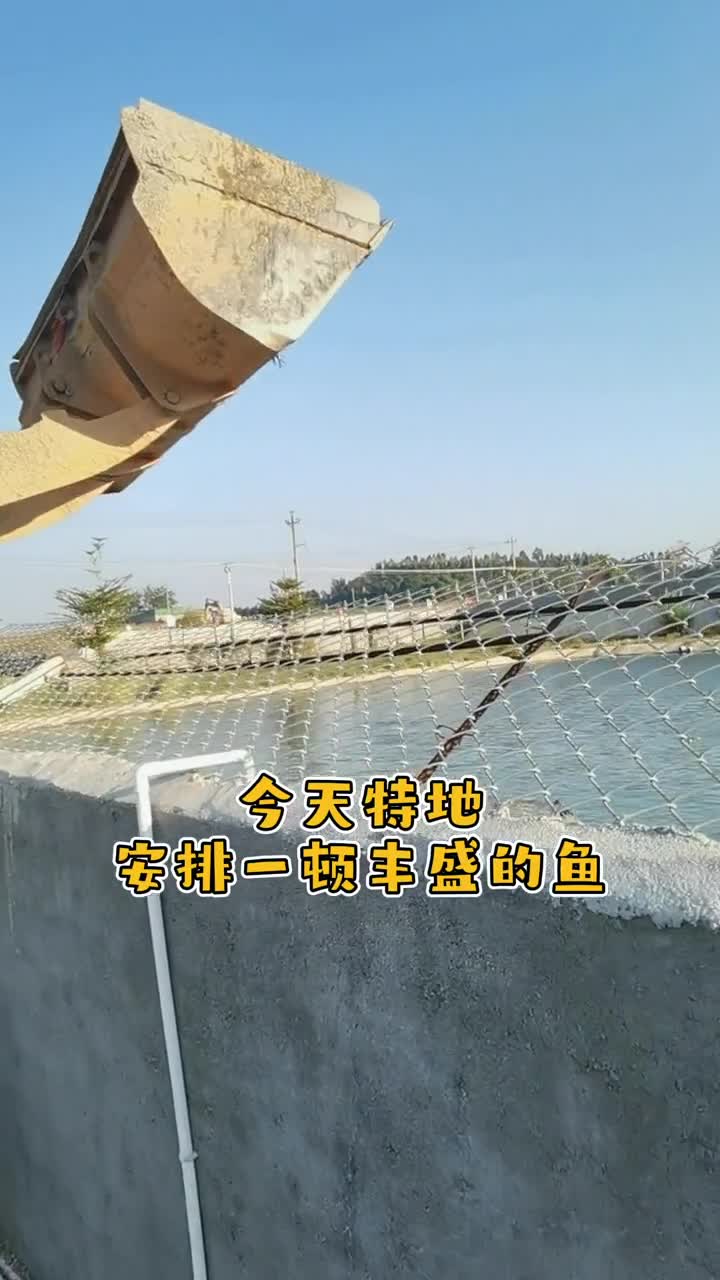 话不多说了…都在那顿鱼里了…鳄珍鳄鱼皮具鳄鱼养殖场女人gg