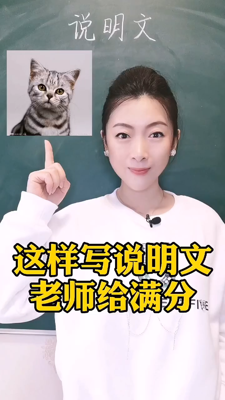 说明文怎么写。 