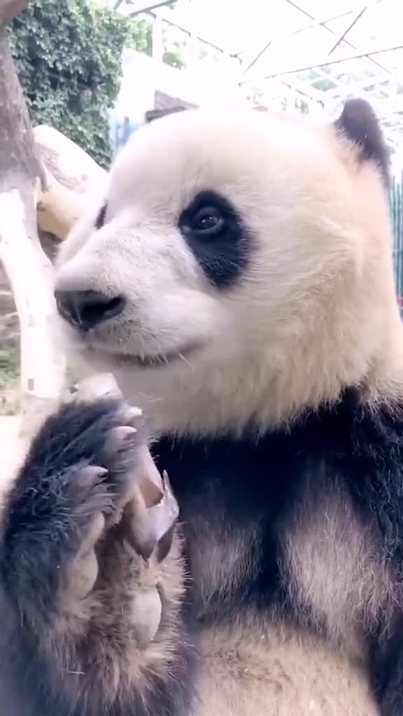 我要表情包[大笑]7956