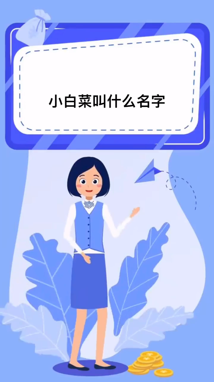 小白菜叫什么名字