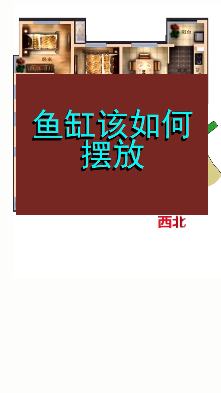 鱼缸位置的摆放是有学问和关系的,千万不好随意摆放,会适得其反的