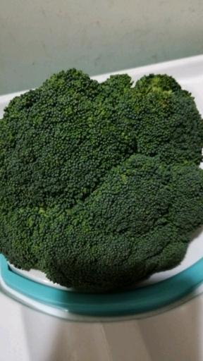 各种各样的蔬菜