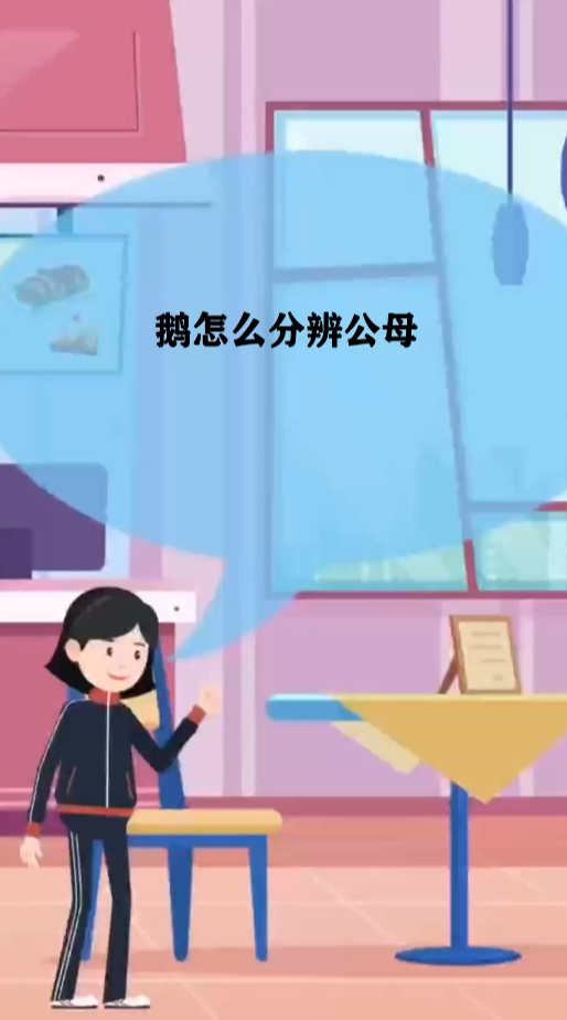 今日科普鹅怎么分辨公母