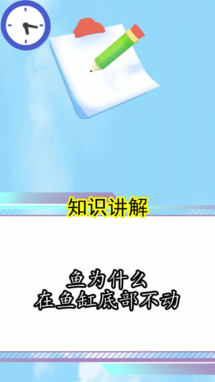 鱼为什么在鱼缸底部不动,你理解了吗