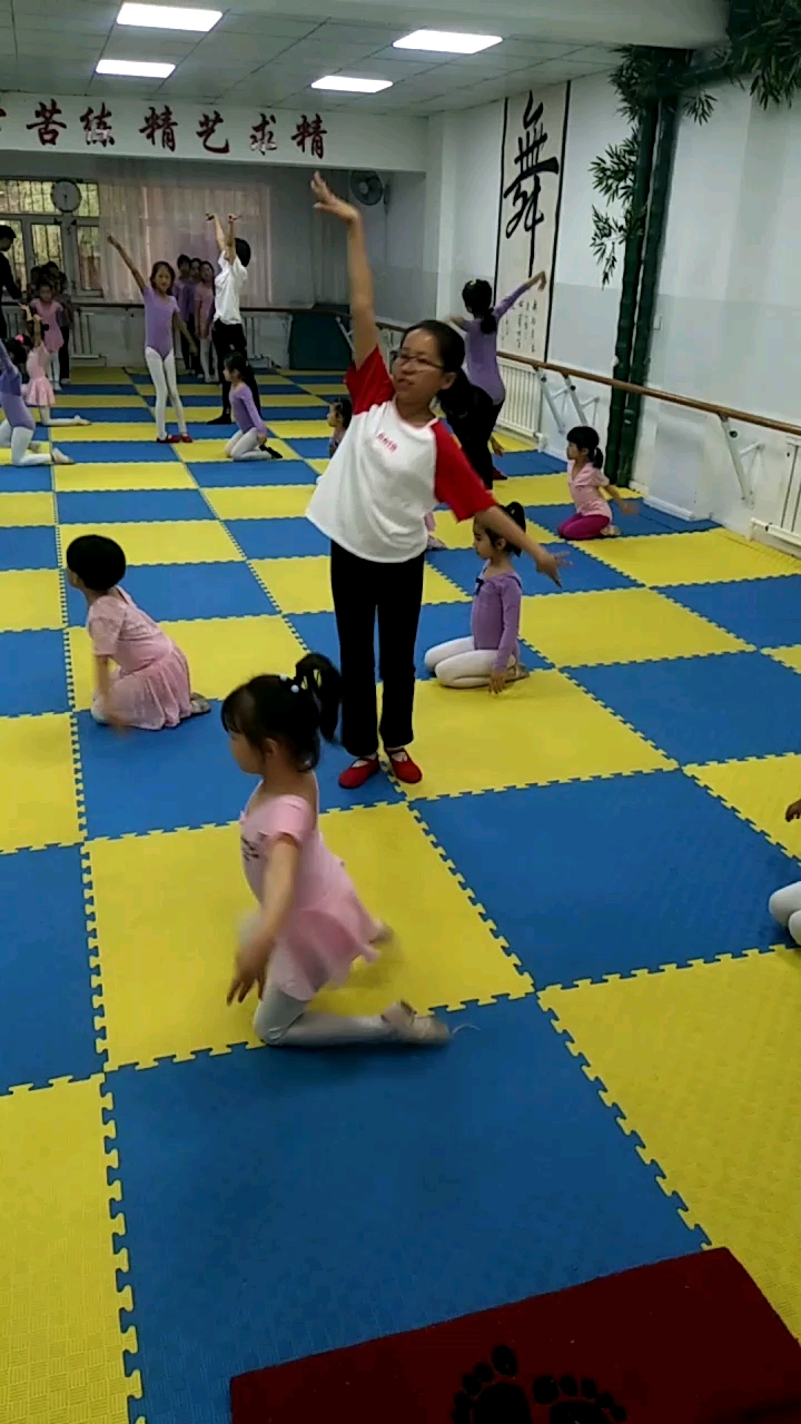 一群小鸡