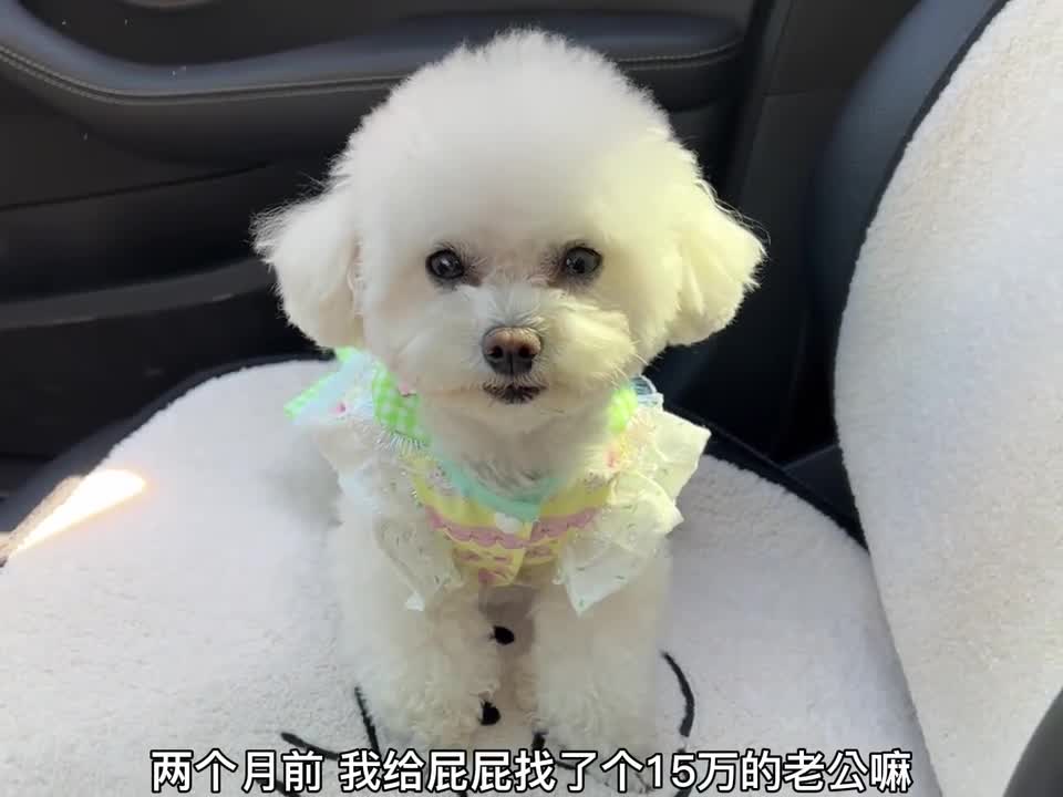 你们说会是几公几母呢