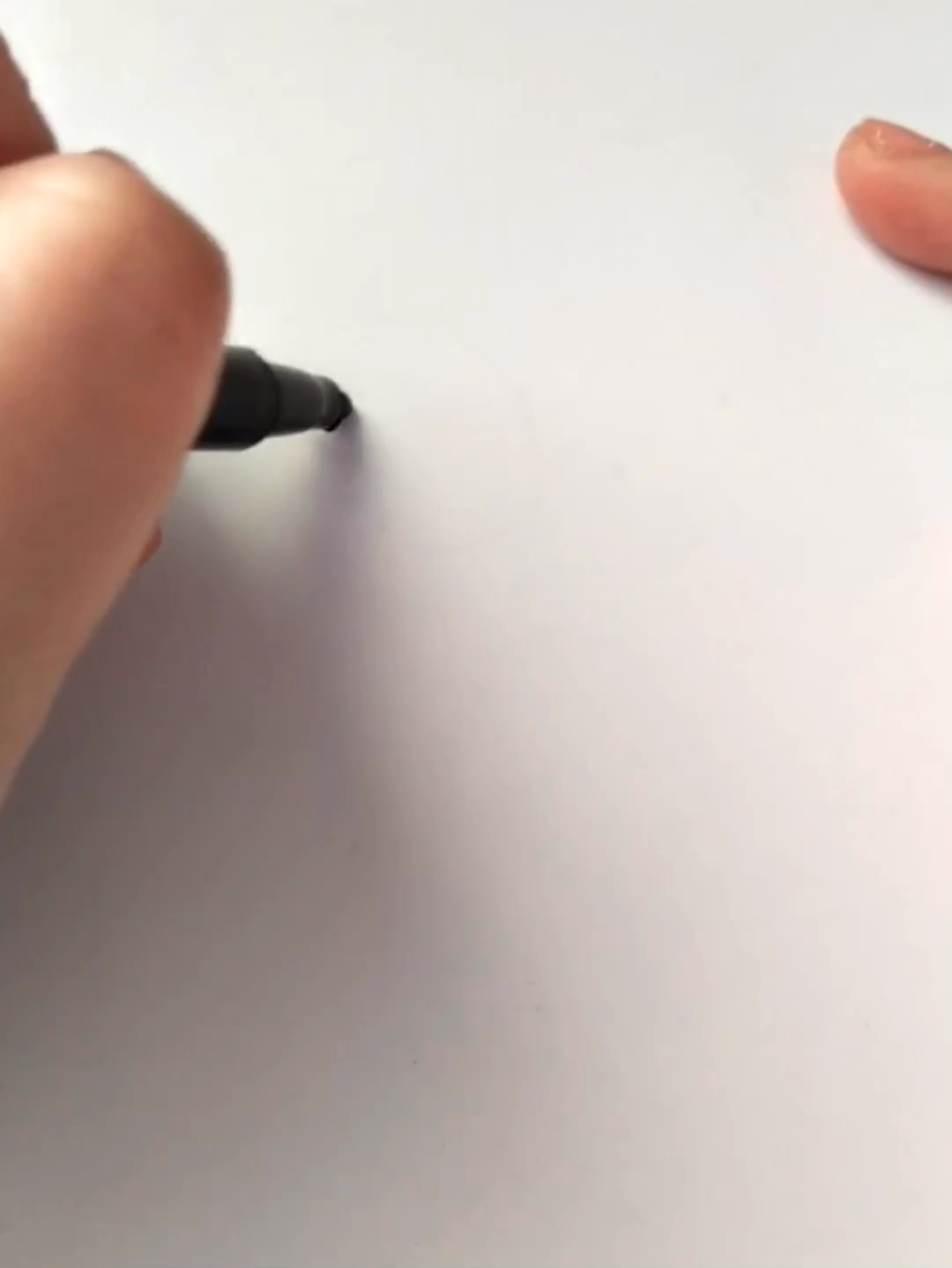 小鸟简笔画