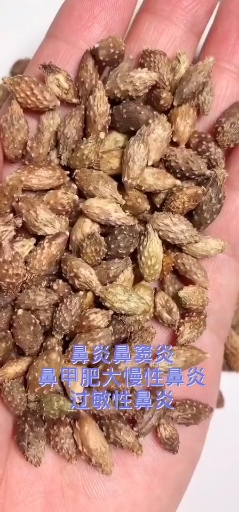 过敏鼻炎慢性鼻炎鼻窦炎鼻息肉鼻甲肥大干燥鼻炎等
