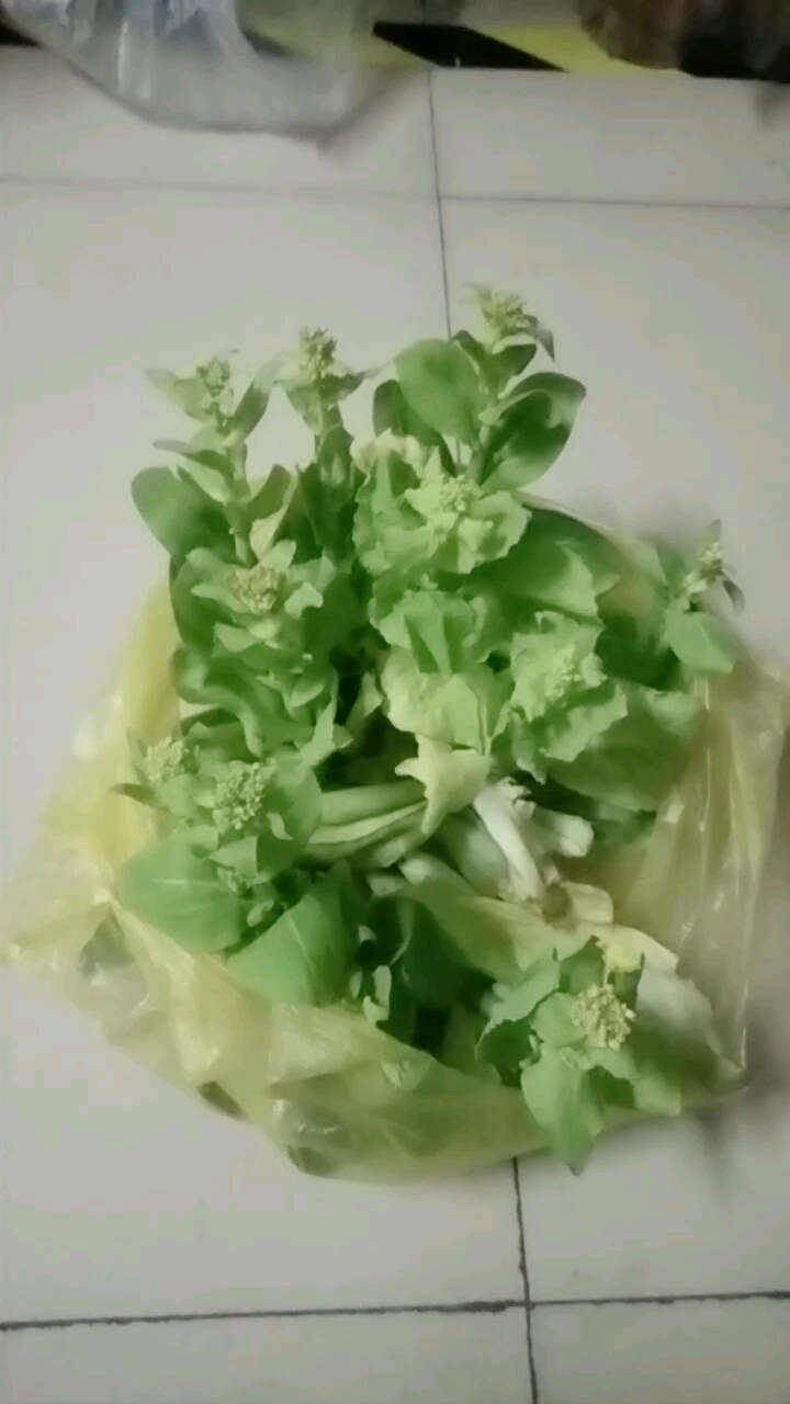 开花了青菜,还要不要吃呢