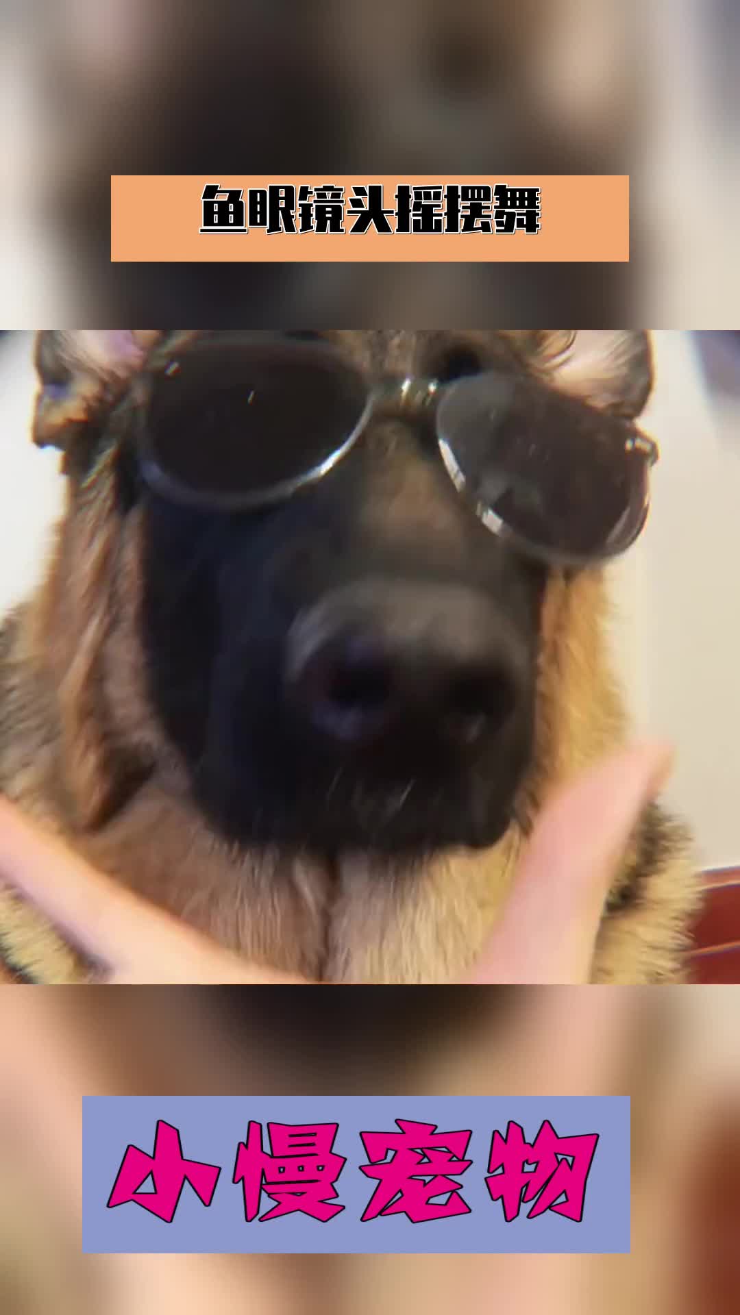 鱼眼镜头摇摆舞