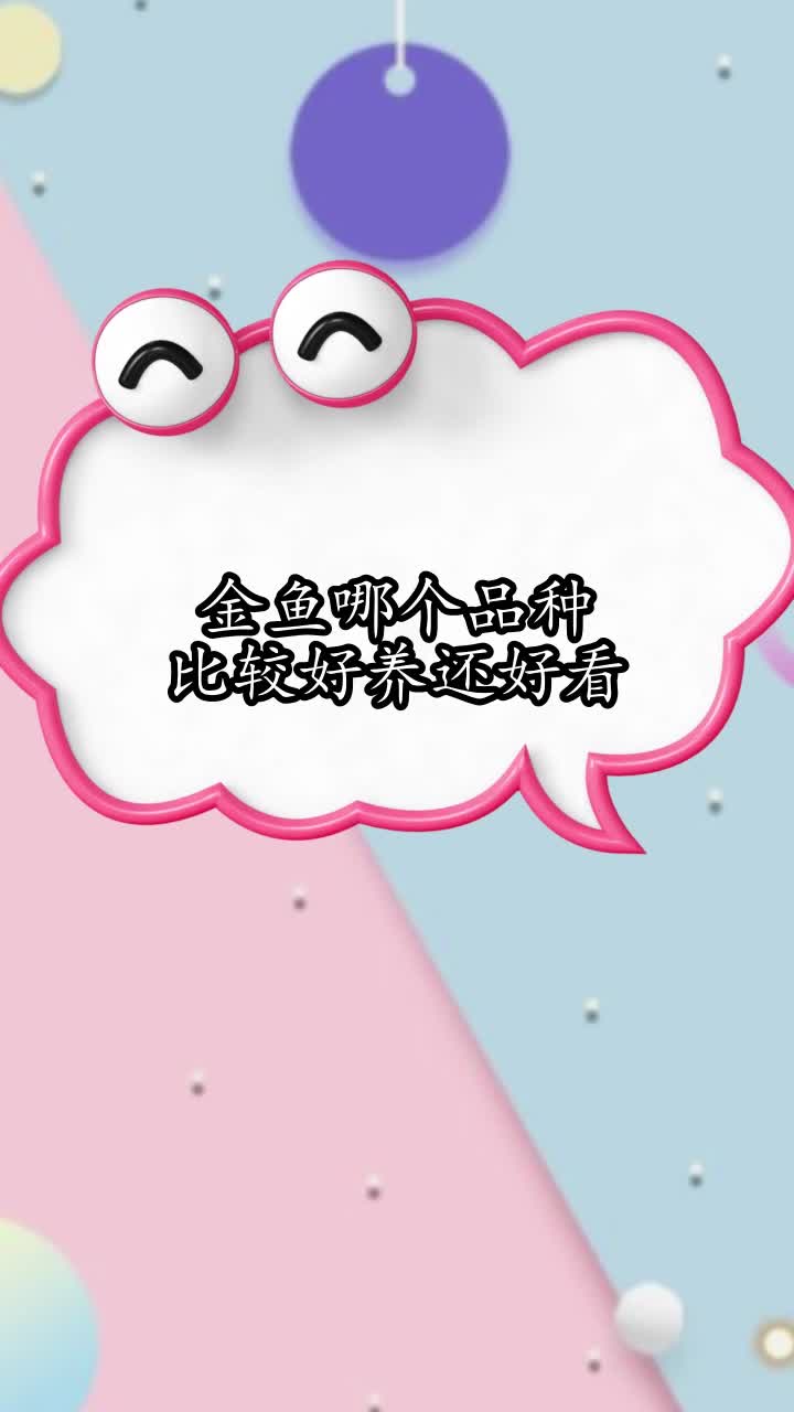 金鱼哪个品种比较好养还好看,你明白了吗