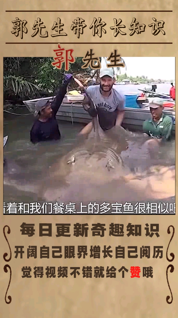 叫人感觉哭笑不得的物种之蝙蝠鱼