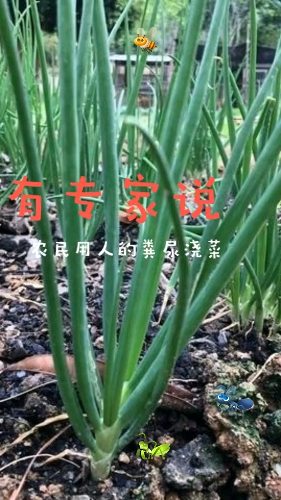 如果都听专家的,这菜还能吃吗?