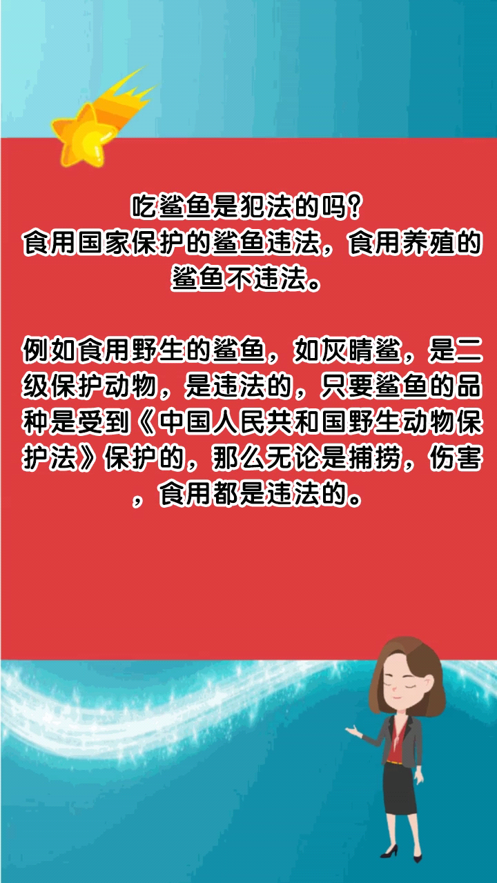 吃鲨鱼是犯法的吗?