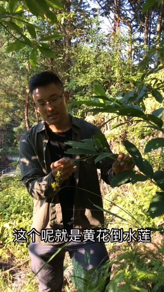 看看,我发现了什么?#我的家乡真you味  百草阿六记 山野玩家老潘