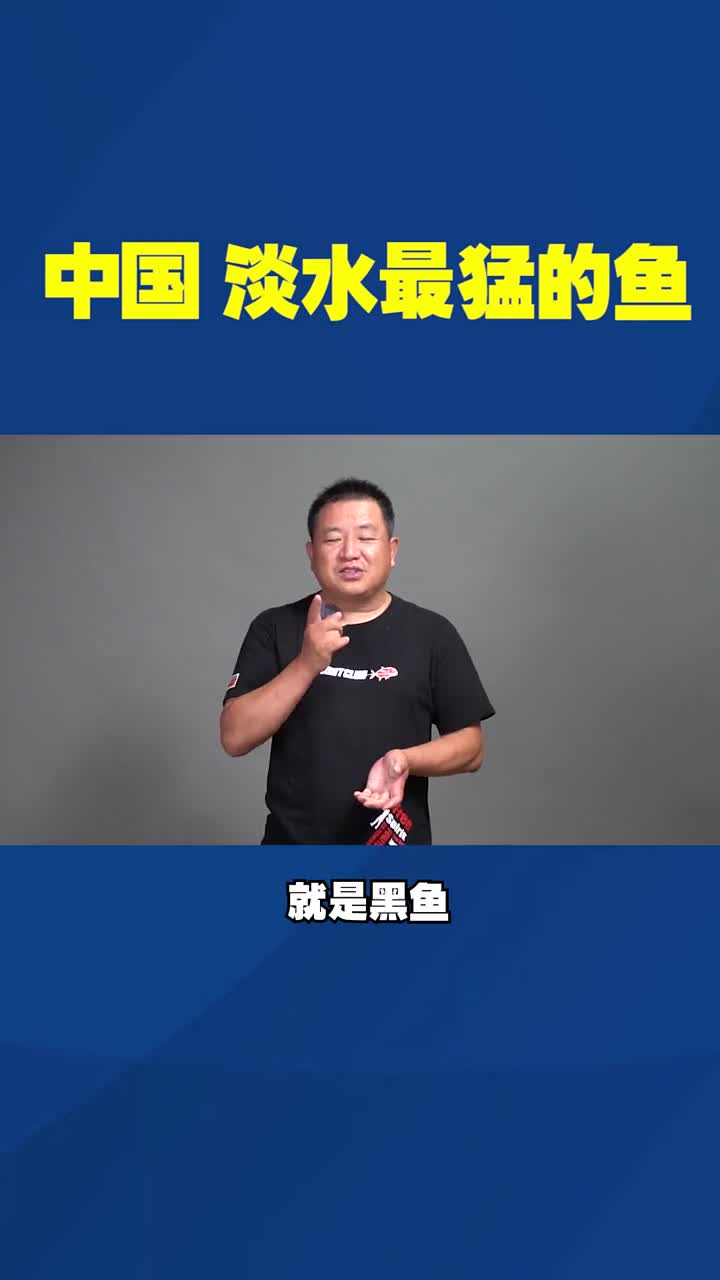 凶猛程度不亚于食人鱼?中国原生鱼种,吃什么都是一口!