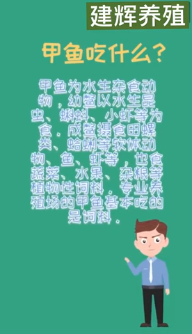 甲鱼吃什么食物怎么养