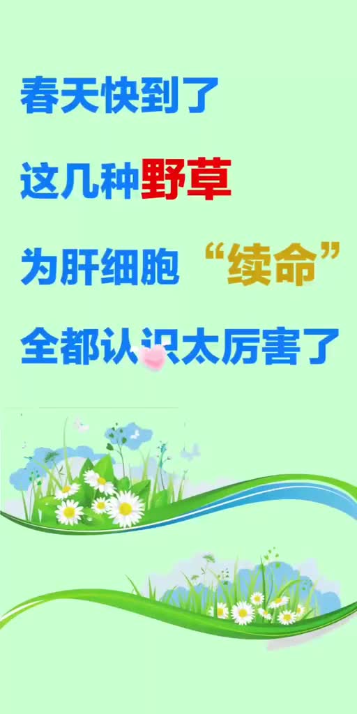 这几种野草,为肝细胞续命,全都认识太厉害了养养肝护肝养生脂肪肝养肝酒精肝肝