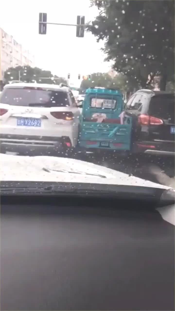 三轮车夹中间,司机现在还在车上下不来,网友成肉夹馍了