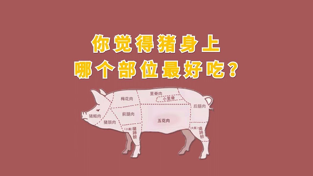 猪肉最嫩的部位图解
