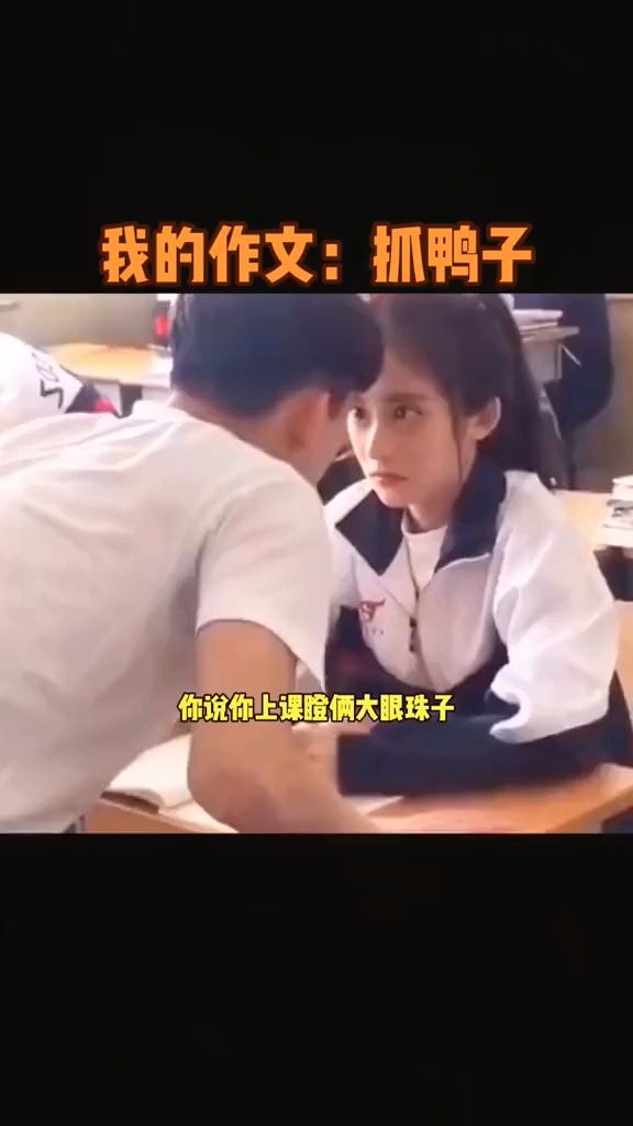 我的作文:抓鸭子