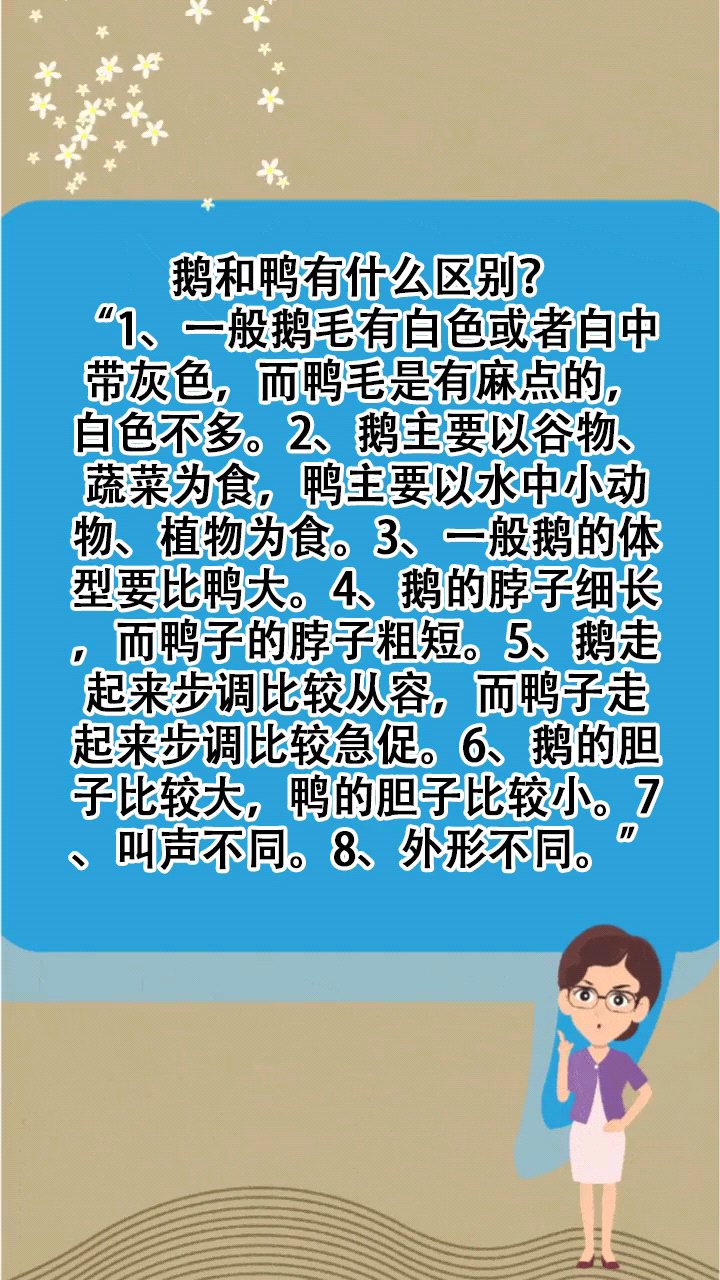 鹅和鸭有什么区别?