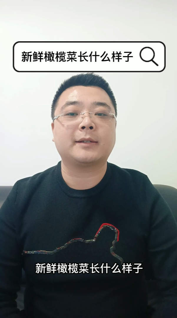 你知道新鲜橄榄菜长什么样子吗