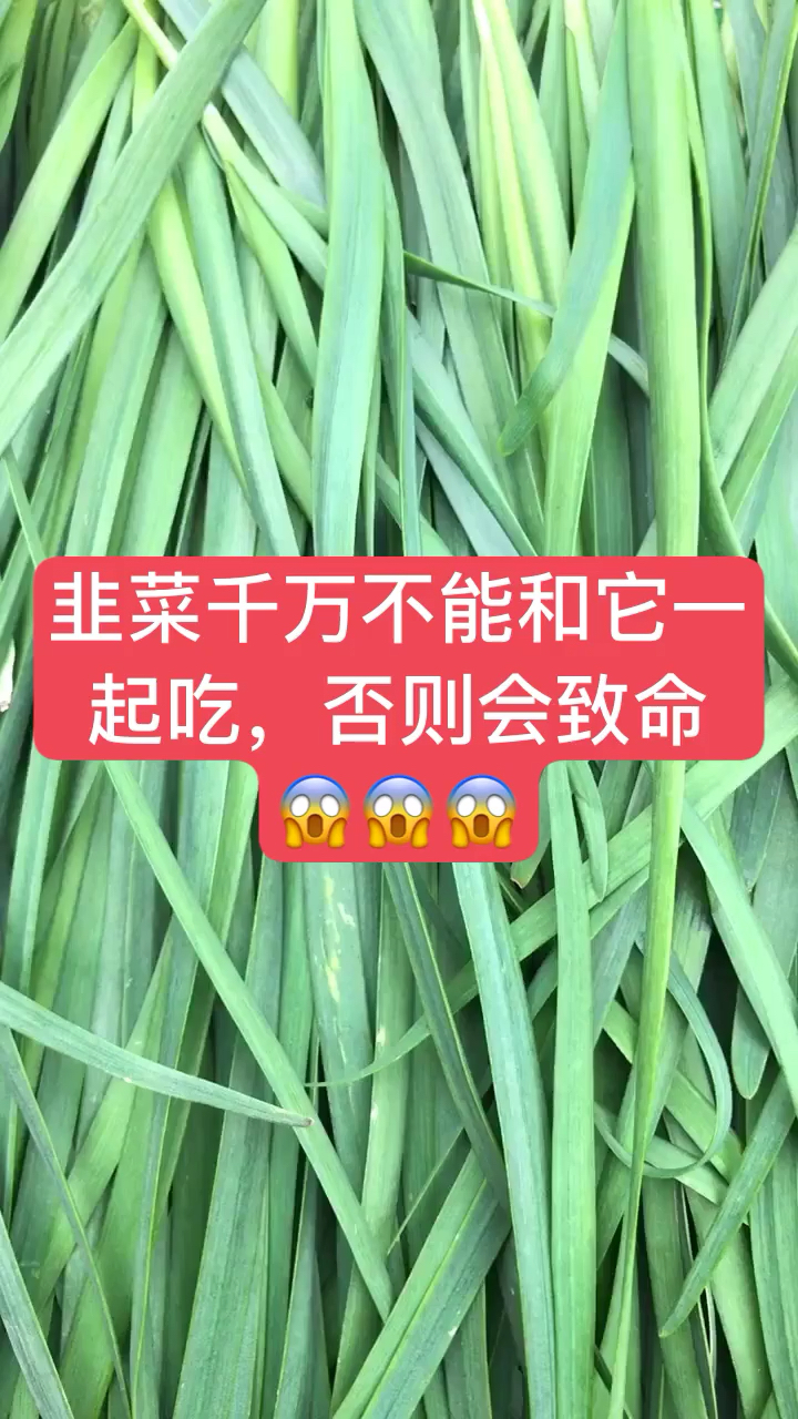 首先说一下,与韭菜相宜的食物。1、韭菜加鸡蛋,2、韭菜加猪肝,3、韭菜加虾,