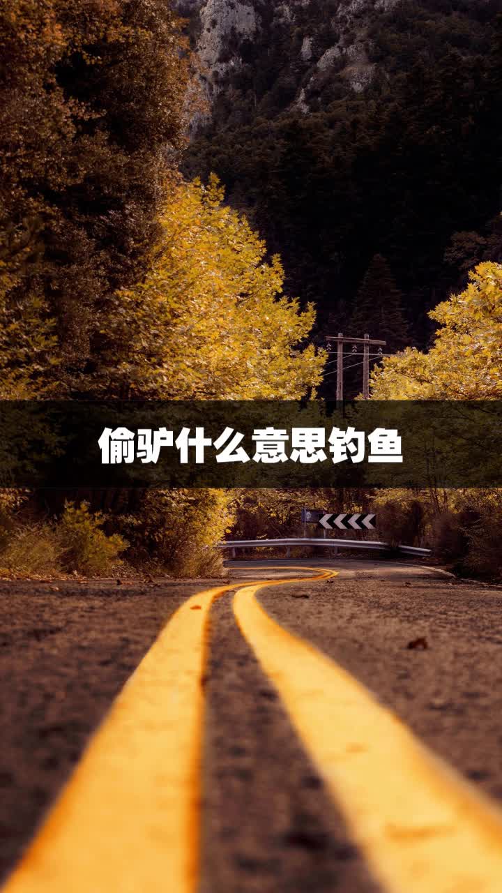 偷驴什么意思钓鱼