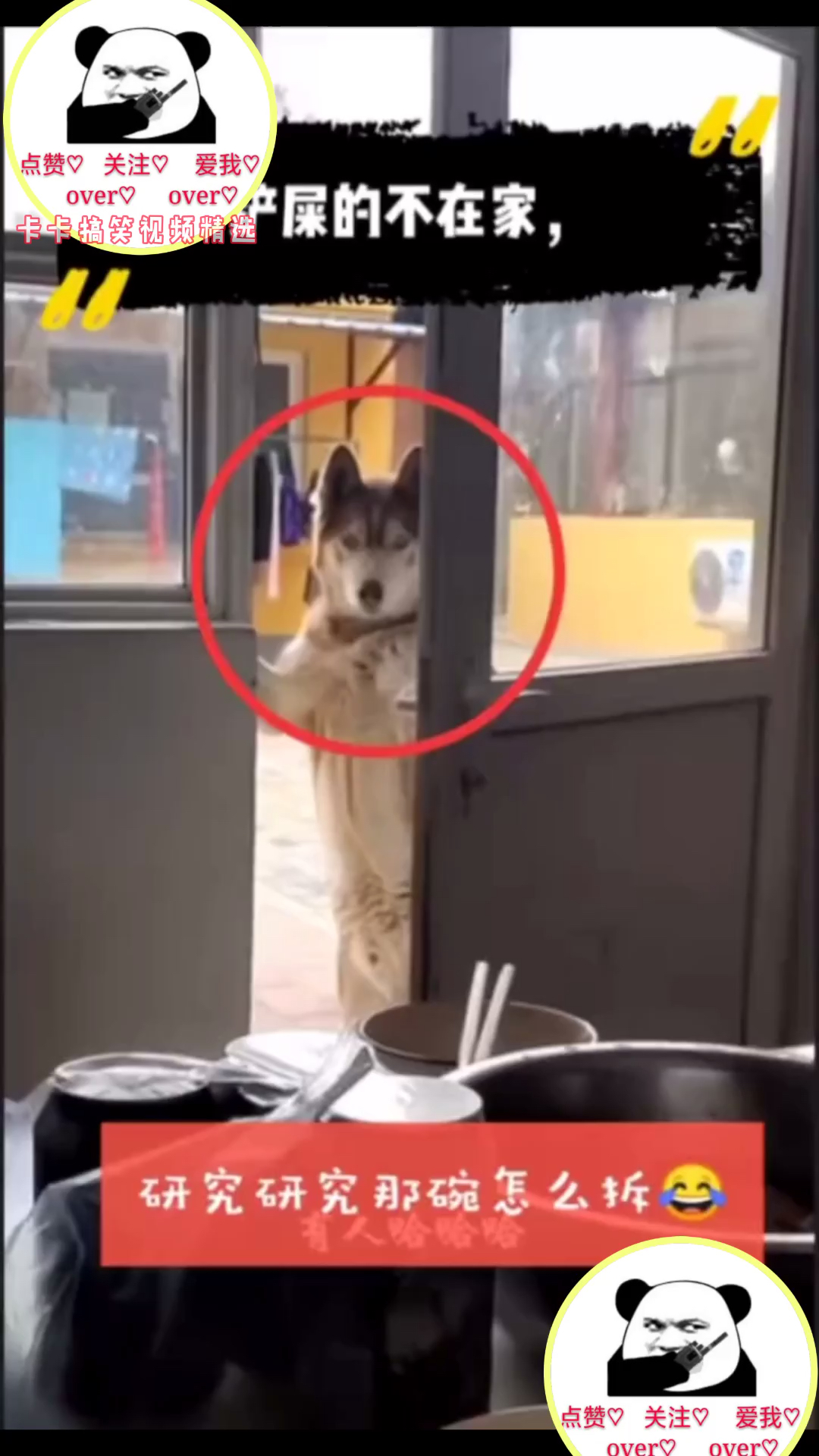 #搞笑视频#来喽,记得点赞关注哦