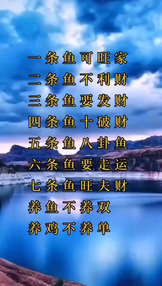 养鱼禁忌,喜欢养鱼的朋友看过来