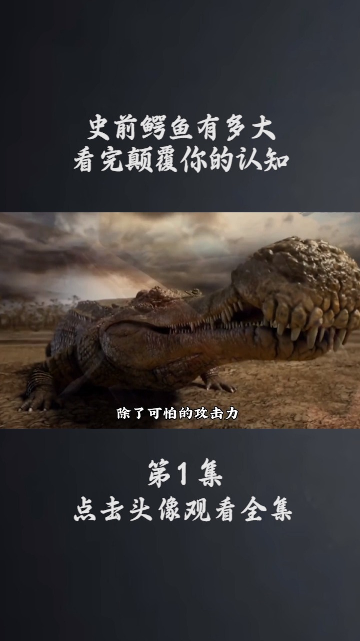 史前鳄鱼有多大,看完颠覆你的认知。