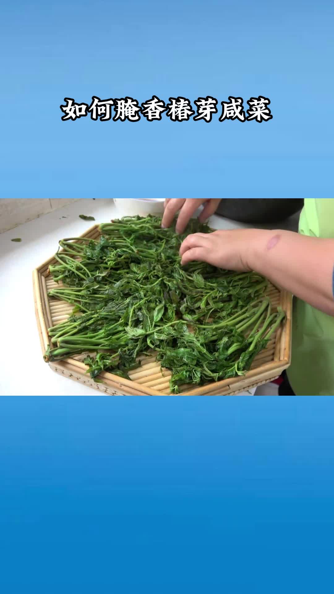 非常好吃的香椿芽咸菜,做法简单,值得品尝